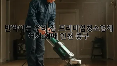 ✨반짝이는 우리 집✨ #프리미엄청소업체 여기 어때? (인천 중구)